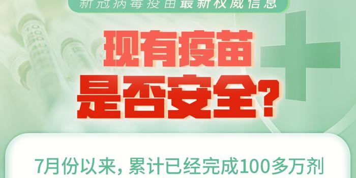 新冠疫苗最新进度报告，八月动态与进展概述